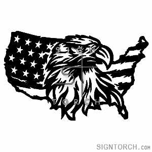(image for) patriotic  usa eagle flag