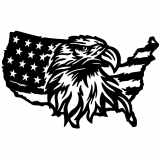(image for) singles patriotic  usa eagle flag