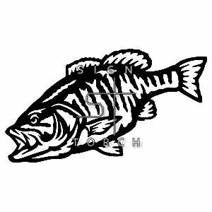 (image for) Small Mouth Bass