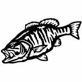 (image for) Small Mouth Bass